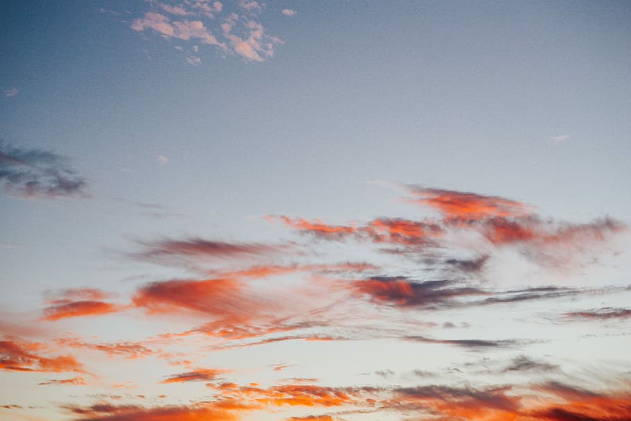 Sunset over the forest, nature, sky, trees, atmospheric, clouds HD wallpaper