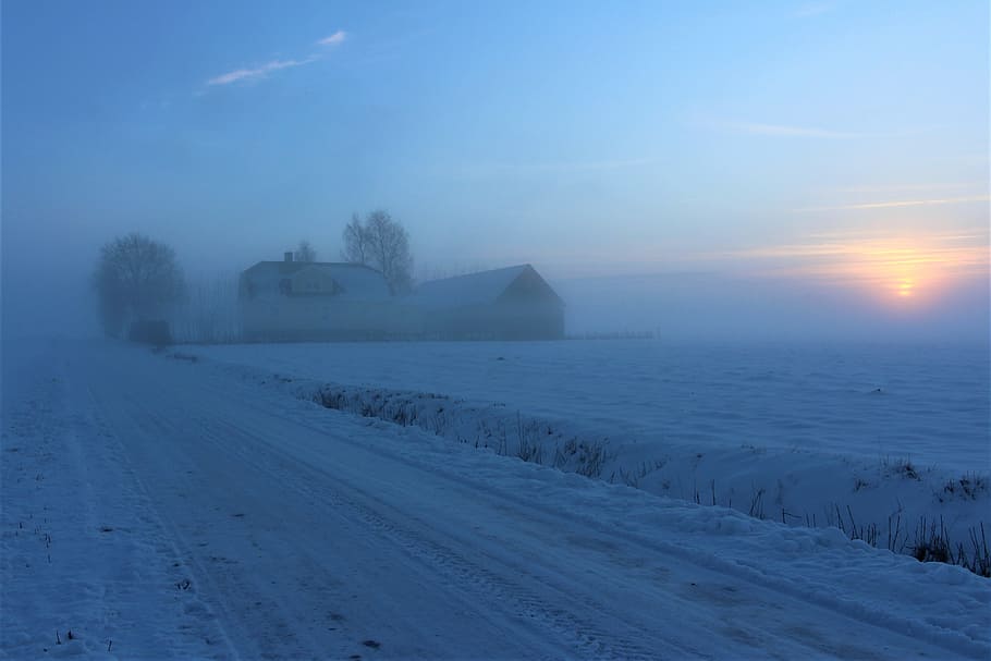 mist, hazy, winter, snow, frost, nature, ice, sunset, cold HD wallpaper