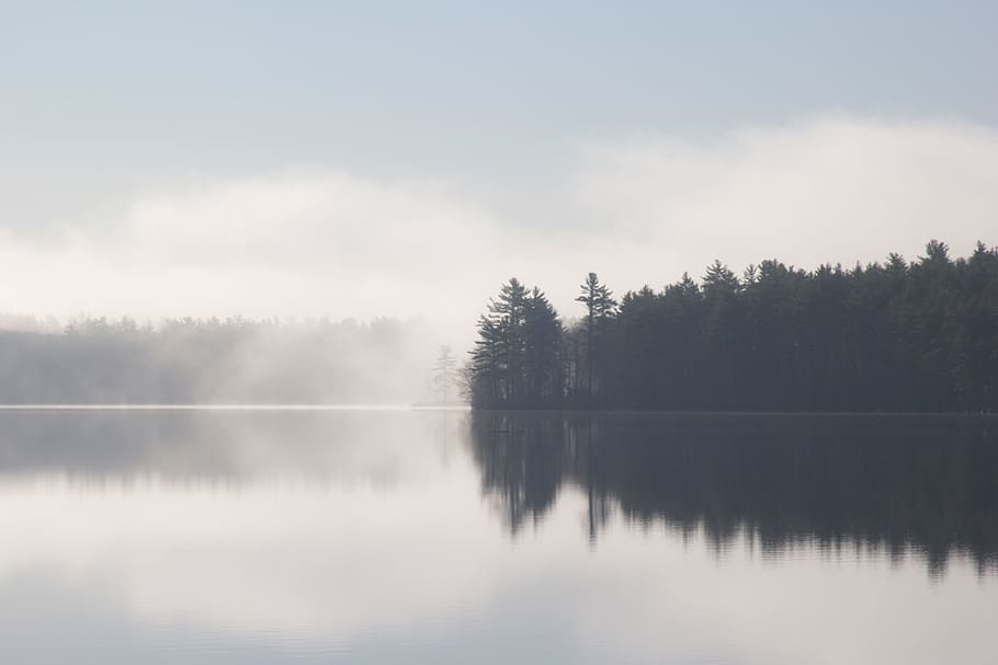 Lake, Water, Reflection, Mist, Trees, nature, landscape, forest HD wallpaper