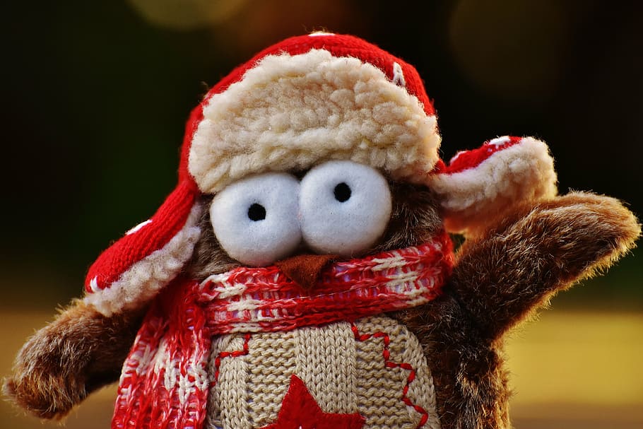 owl, plush, winter, funny, cap, scarf, bird, cute, decoration HD wallpaper