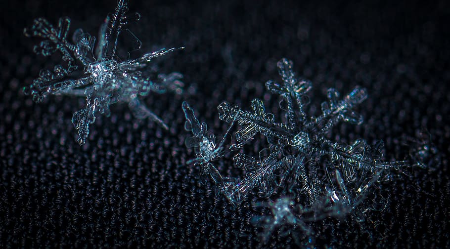 snow, macro, snowflake, winter, cold temperature, frozen, close-up HD wallpaper
