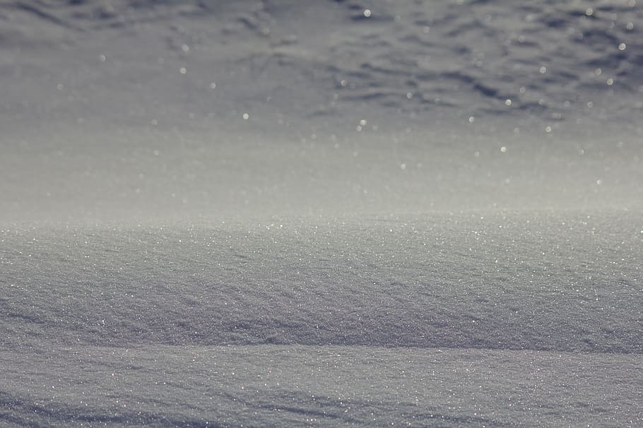 snow, white, cold, winter, outdoors, snow white, water, nature HD wallpaper