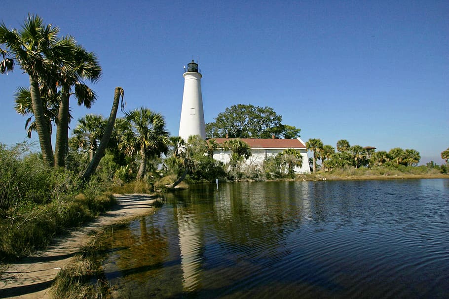 lighthouse, trees, coastline, st marks lighthouse, beach, tourism HD wallpaper