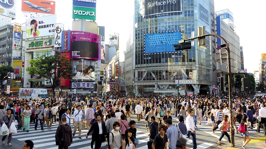 group of people walking on street, japan, tokyo, shibuya, japanese, HD wallpaper