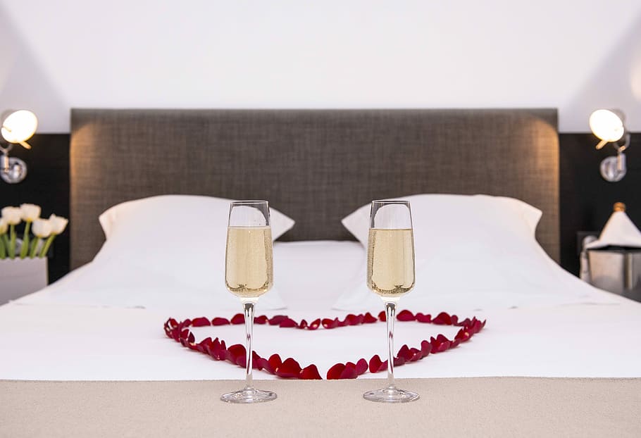 Champagne, Pink, Room, Hide, the rochelle, glasses, food and drink HD wallpaper