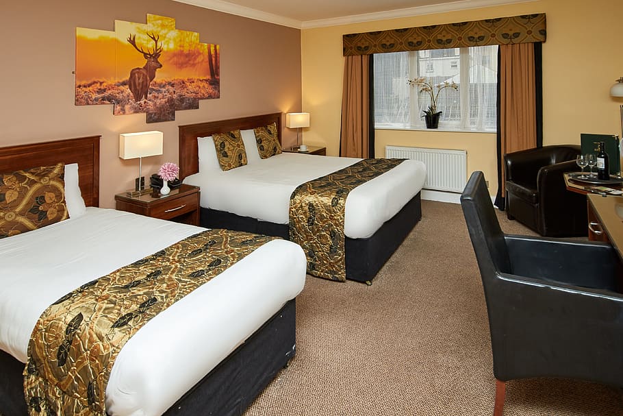 killarney, eviston, hotel, home interior, furniture, indoors HD wallpaper