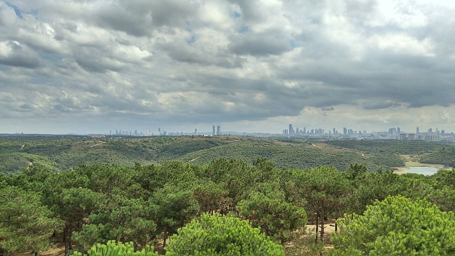 sky, cloud, turkey, clouds, pine tree, environment, landscape HD wallpaper