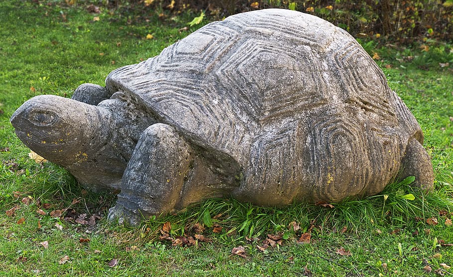 turtle, stone figure, sculpture, stone statue, animal, rock carving, HD wallpaper