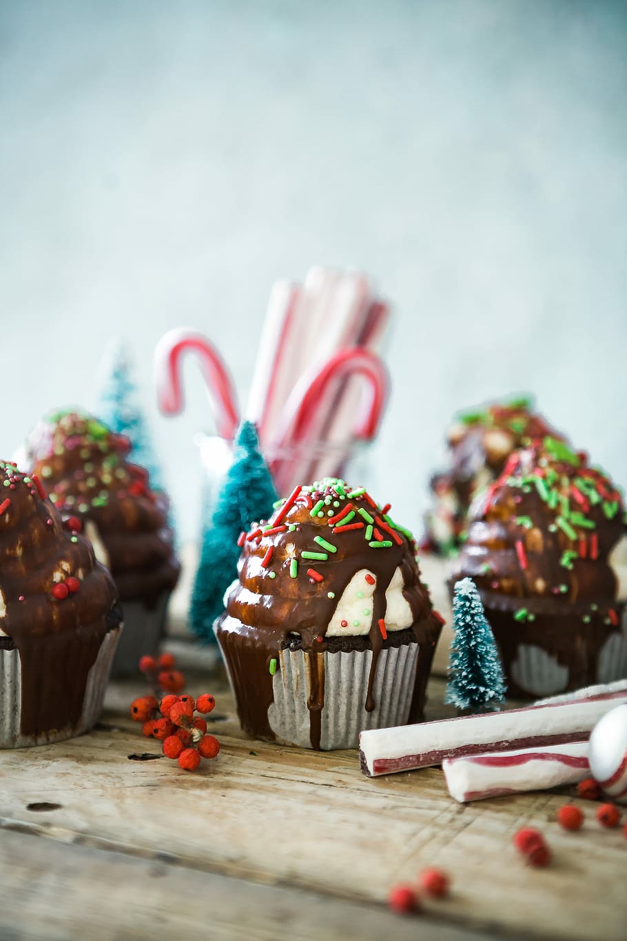 HD wallpaper: cupcakes with sprinkles on table, chocolate cupcake with  chocolate syrup and red and green sprinkles in tilt shift photography |  Wallpaper Flare