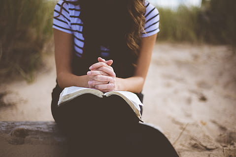 woman sitting on brown bench while reading book, woman in black pants sitting and reading book HD wallpaper