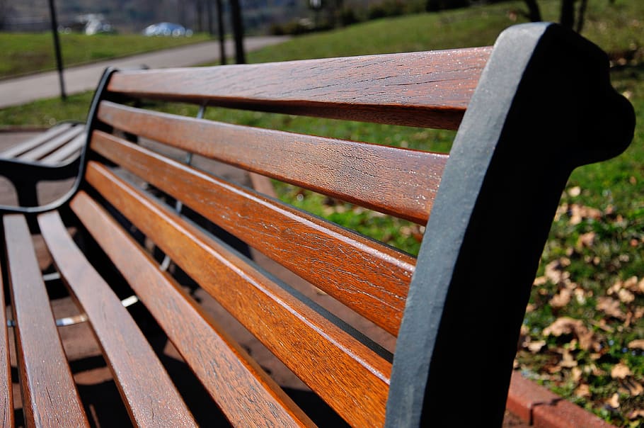 bench, park, wood, seat, wood - material, park bench, empty HD wallpaper