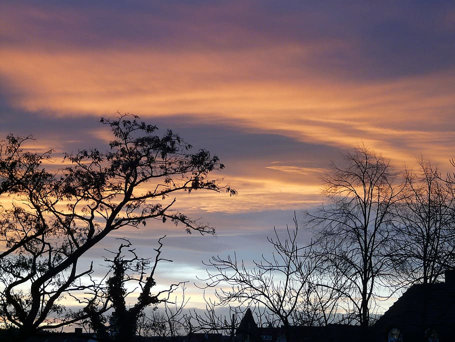 sunset, sky, clouds, afterglow, tree, abendstimmung, romance HD wallpaper