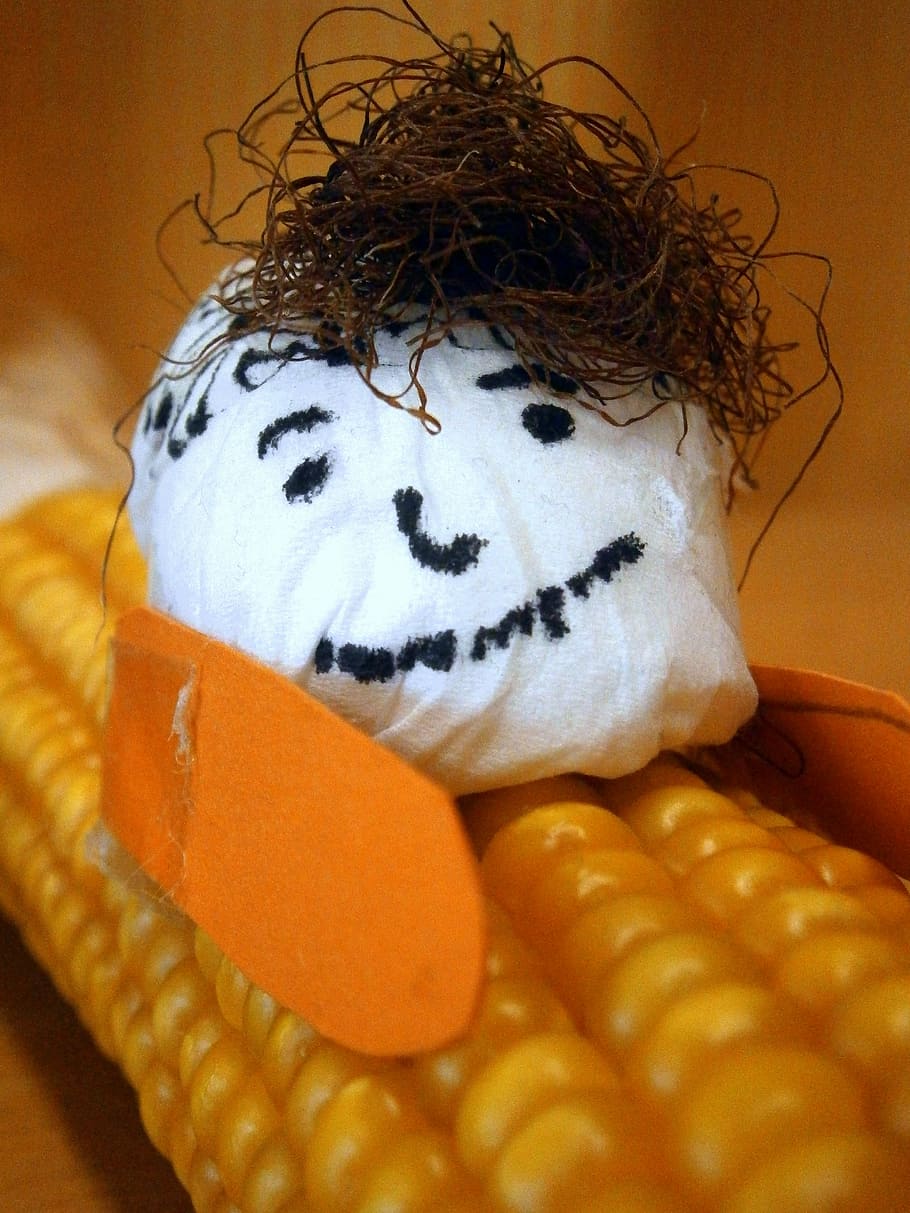 corn, corn on the cob, tinker, males, head, face, cheerful HD wallpaper