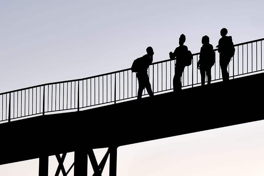 Web, Silhouette, Graphic, Group, bridge - Man Made Structure HD wallpaper