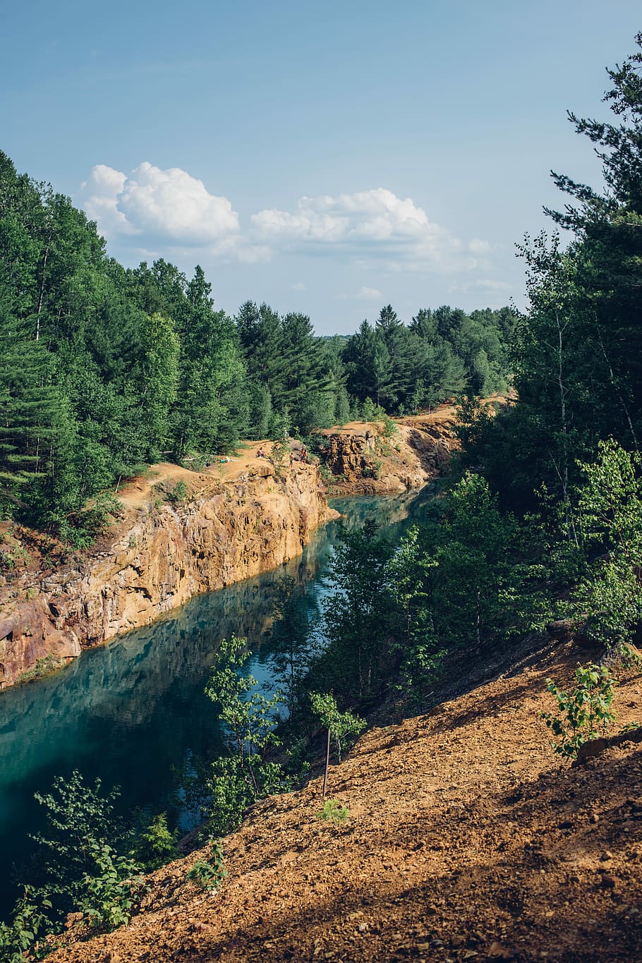 landscape photography of river, trees and river during day, cloud HD wallpaper