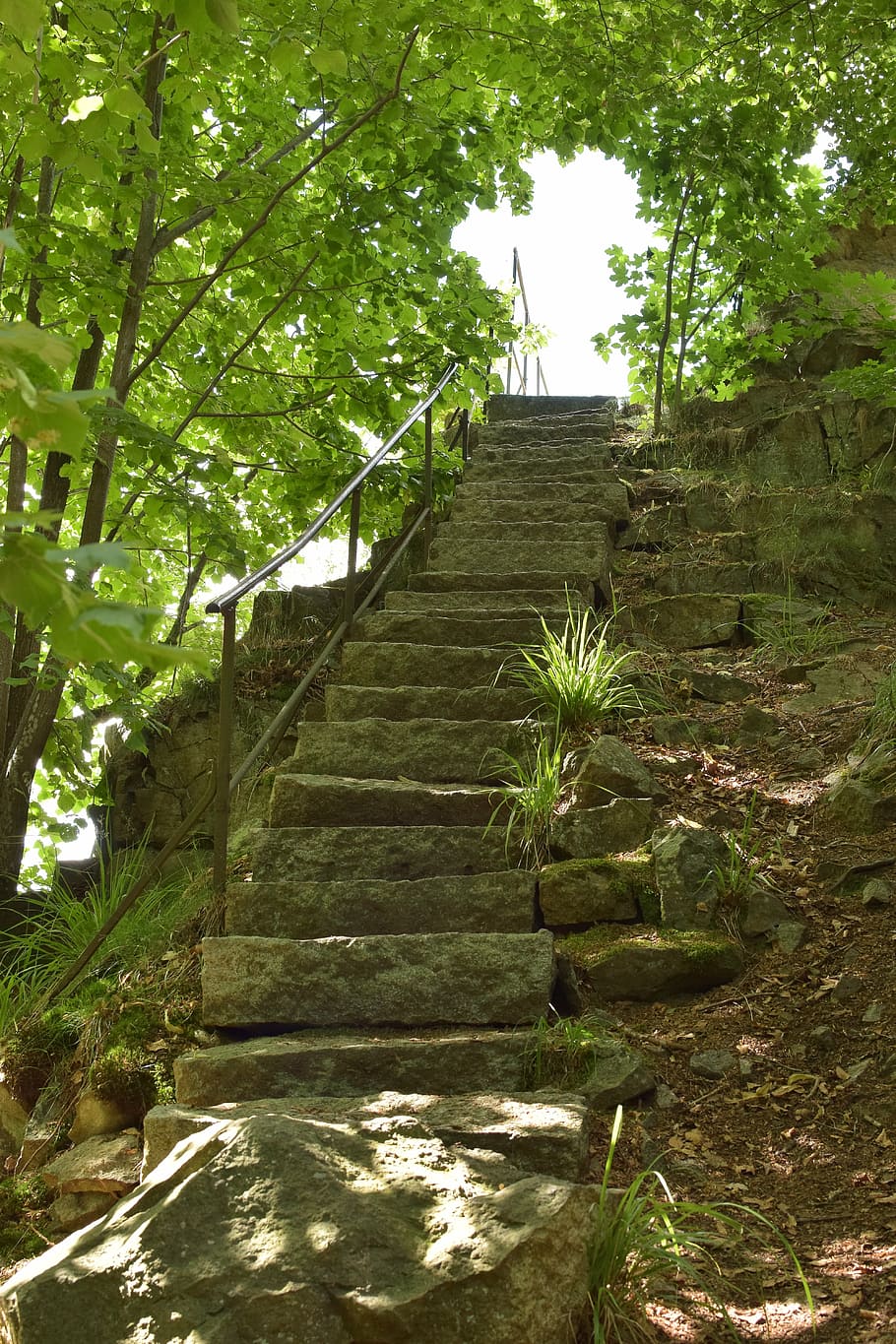 scharfenstein, stairs, gradually, stone, nature, deciduous forest HD wallpaper