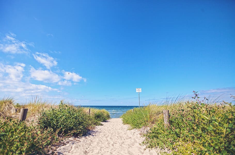 Dunes, Beach, Sand, Baltic Sea, path, emergence, sand road HD wallpaper