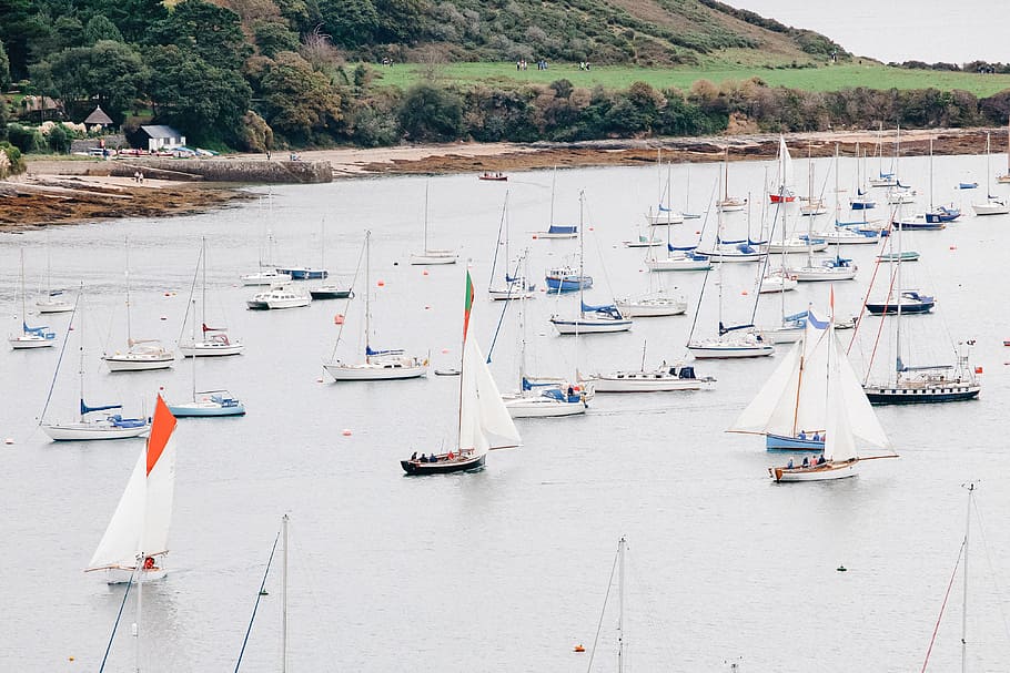 Yachts on river, landscape, nautical Vessel, sailboat, harbor HD wallpaper