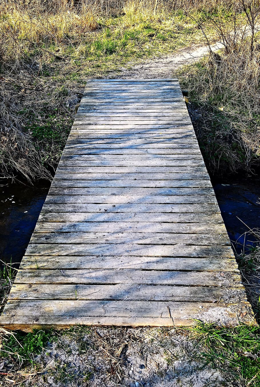 landscape, bridge, web, trail, small stream, water, wooden boards HD wallpaper