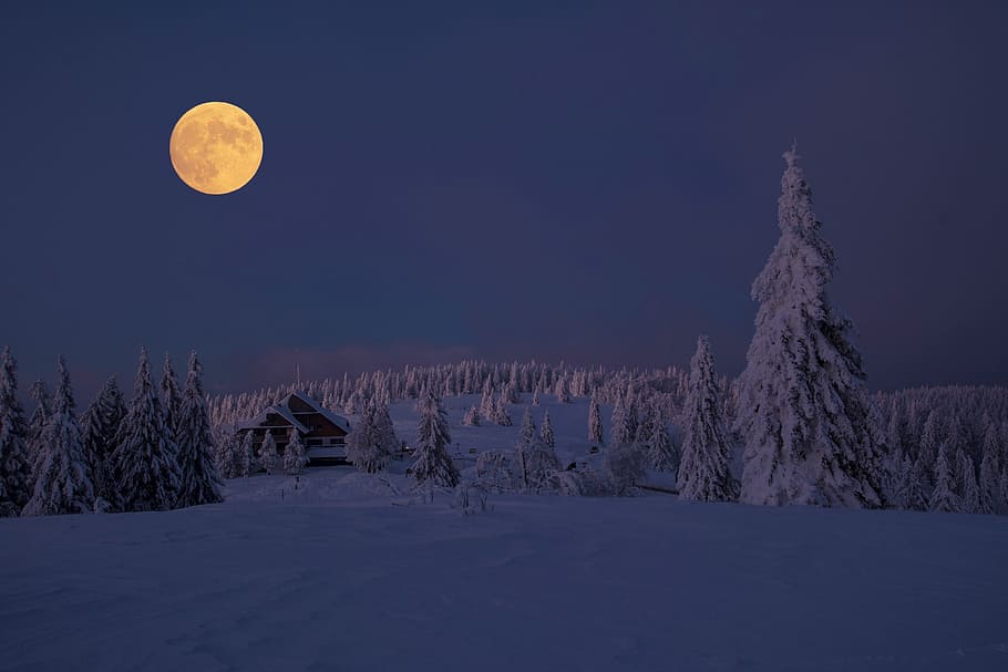 photo of land covered with snow under full moon during nighttime, HD wallpaper