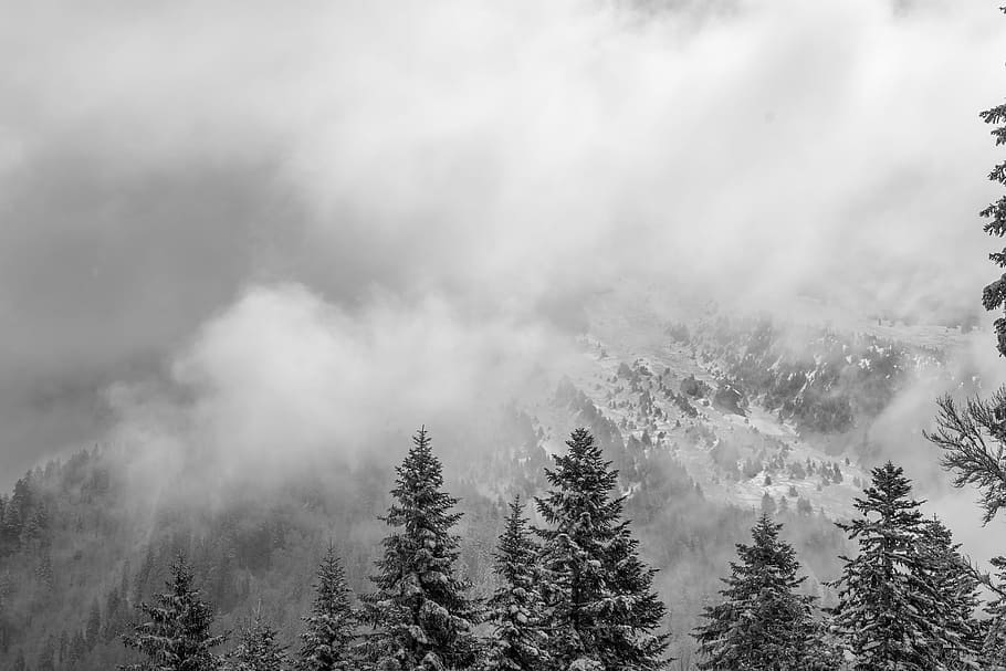 Mountain, Cloud, Snow, nature, forest, landscape, tree, winter HD wallpaper