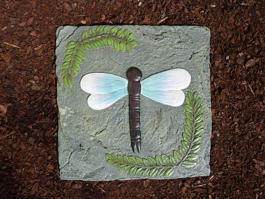 stone, tile, dragonfly, insect, nature, wings, step, arts, artistic HD wallpaper