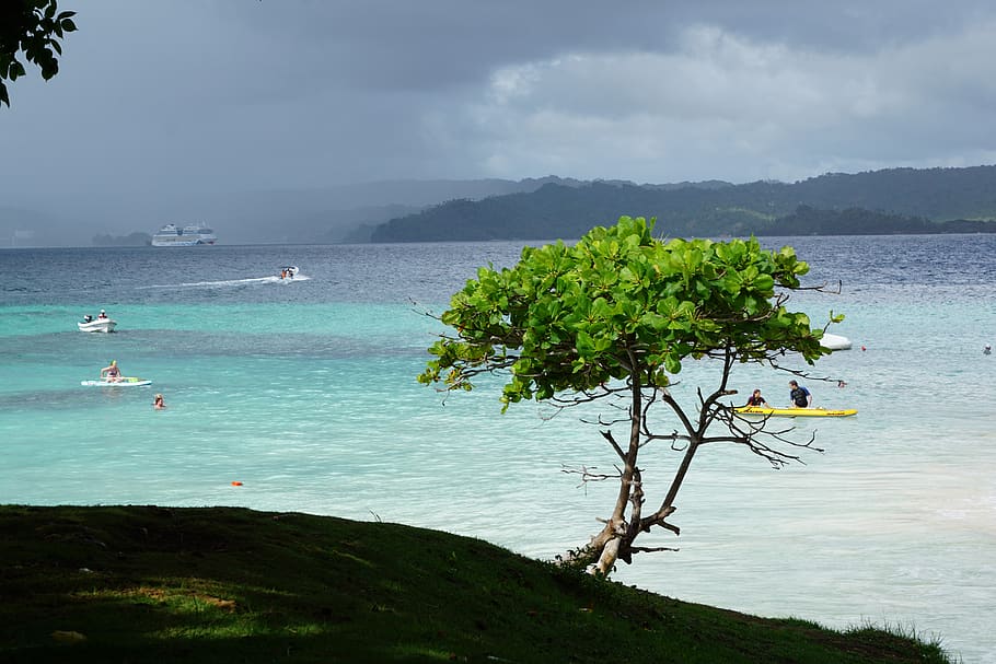 levantado, island, caribbean, bacardi island, beach, water, HD wallpaper