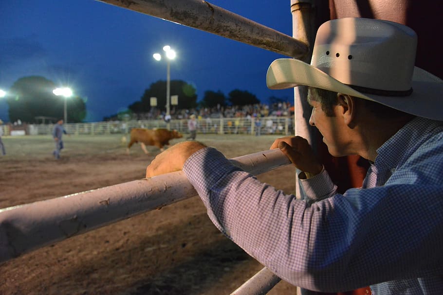 Cowboy, Rodeo, Hat, American, Western, horse, ranch, retro