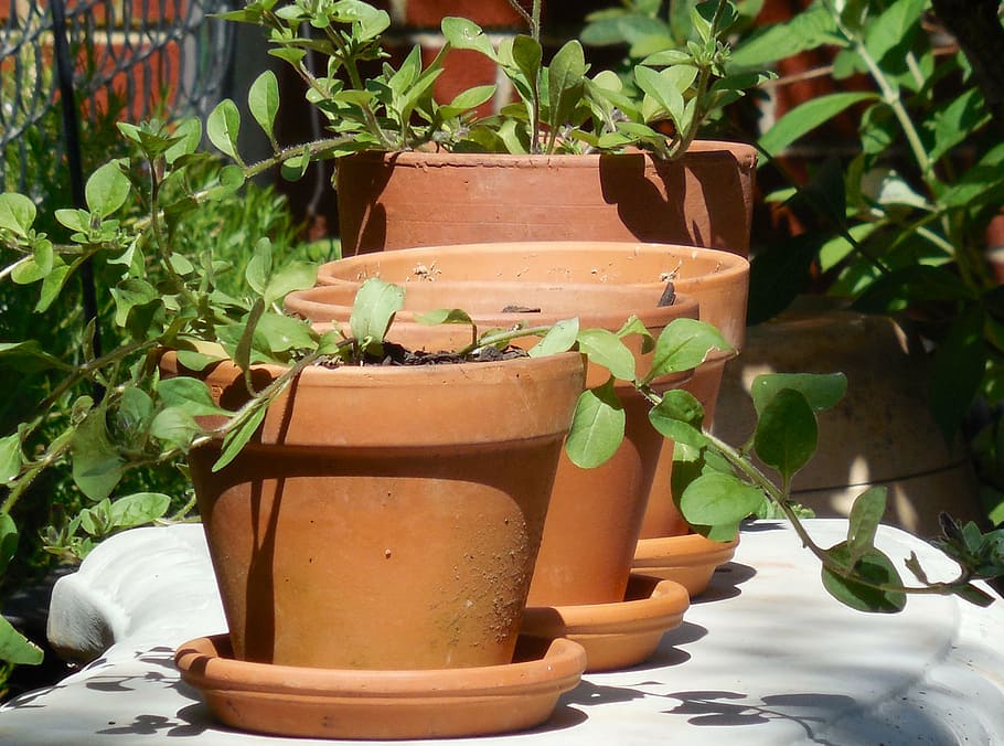 clay, pots, pottery, ceramic, craft, earthenware, culture, traditional HD wallpaper
