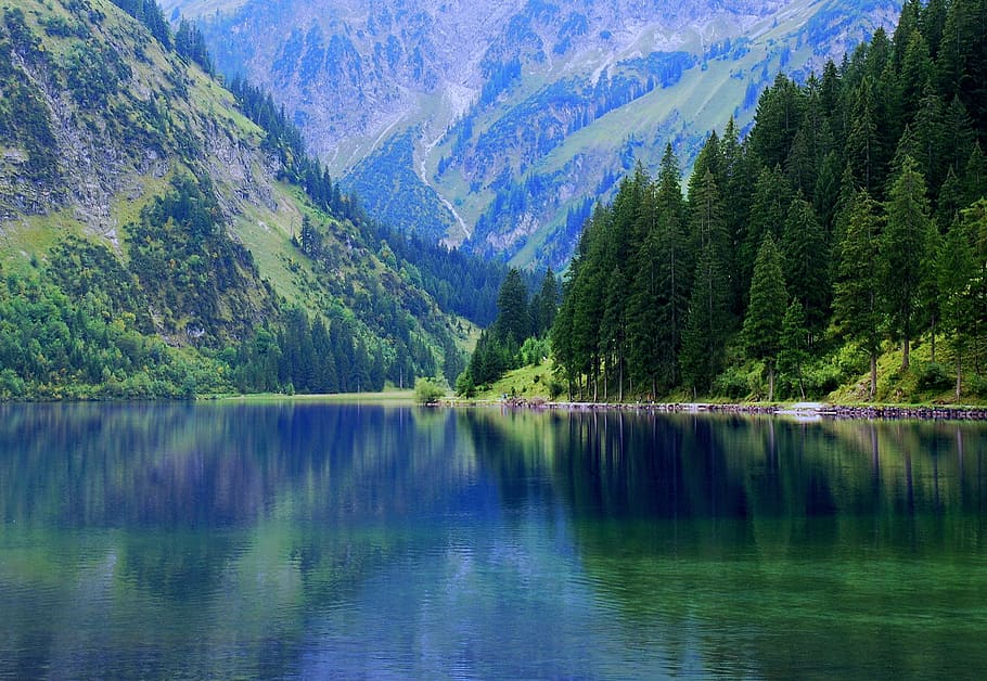 lake surrounded by forest and mountain, vilsalpsee, austria, tannheim