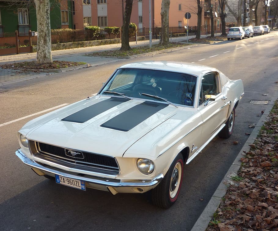 white Ford Mustang coupe parked on concrete road near trees during daytime HD wallpaper