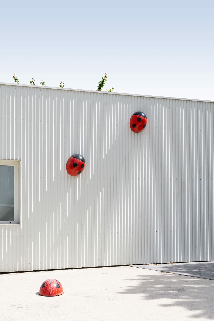 lady bug wall decors, three black-and-red ladybugs decoration on building near tree at daytime HD wallpaper
