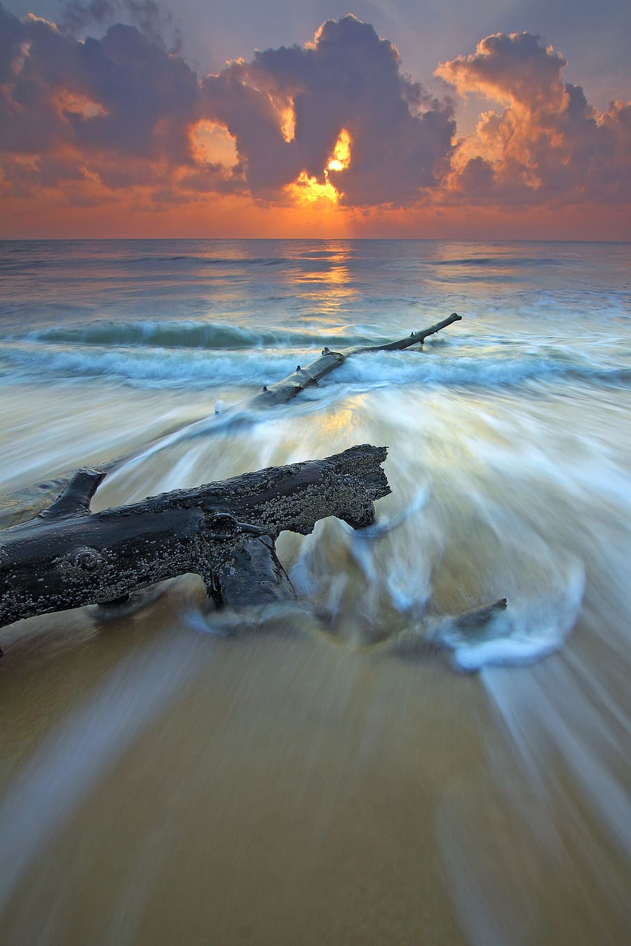 Black Wood Branch in Beach Across Wavy Sea during Sunset, dawn HD wallpaper
