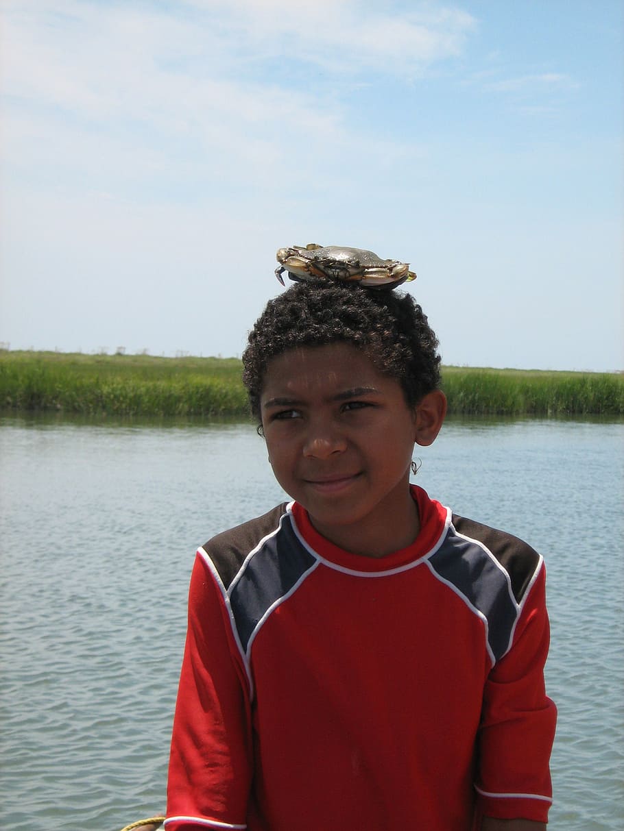 boy, crab, head, ocean, vacation, marsh, sea oats, water, portrait HD wallpaper
