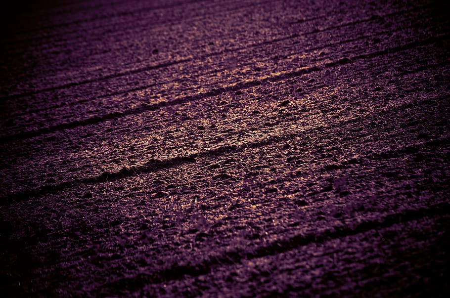 field, acreage, abstract, digital art, texture, background HD wallpaper