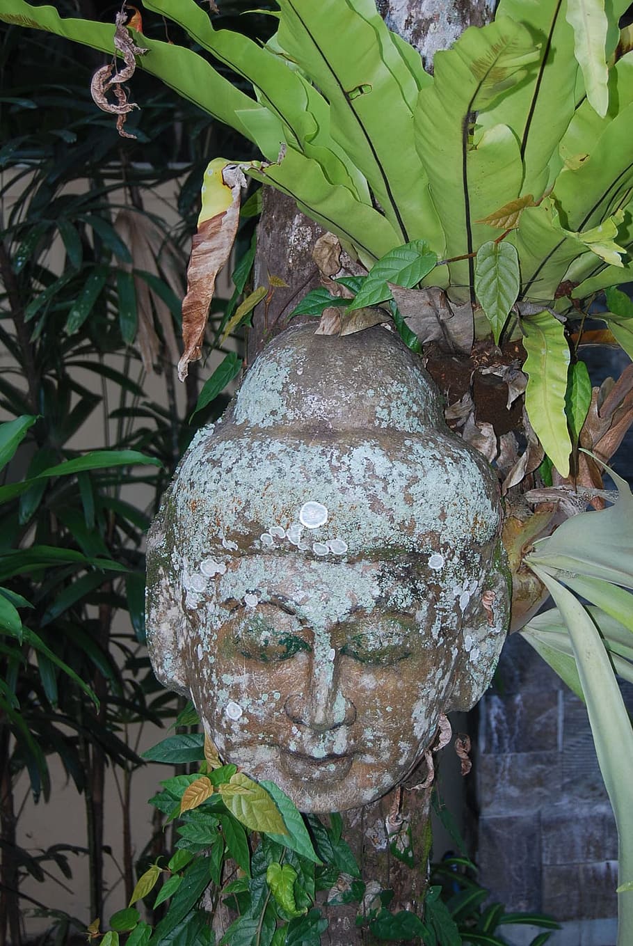 buda, image, bali, sculpture, garden, human representation HD wallpaper