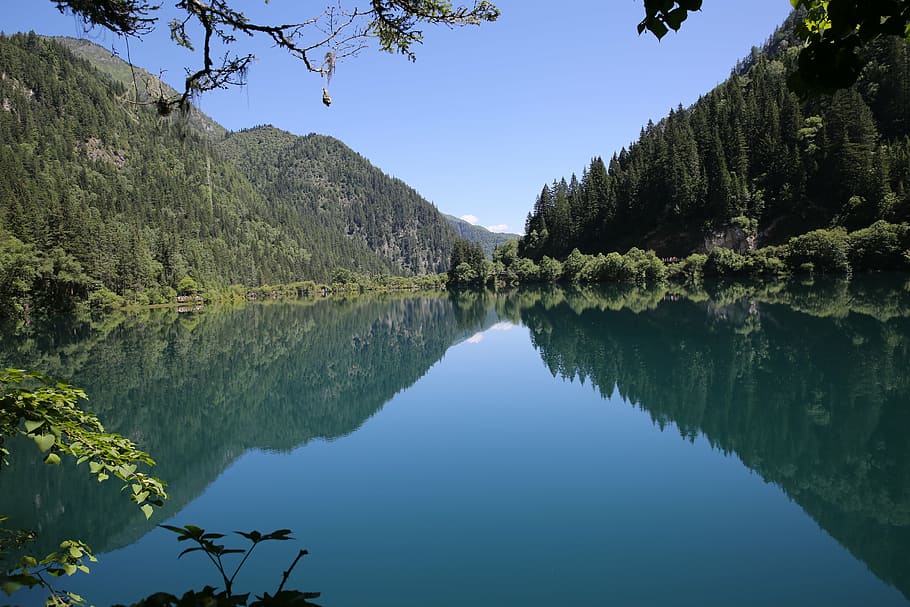 reflection, water, jiuzhaigou, nature, lake, mountain, tree HD wallpaper