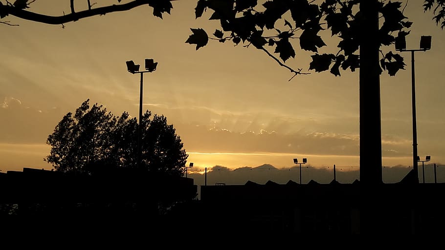 dramatic, cloudscape, sunset, silhouette, tree, plant, sky HD wallpaper