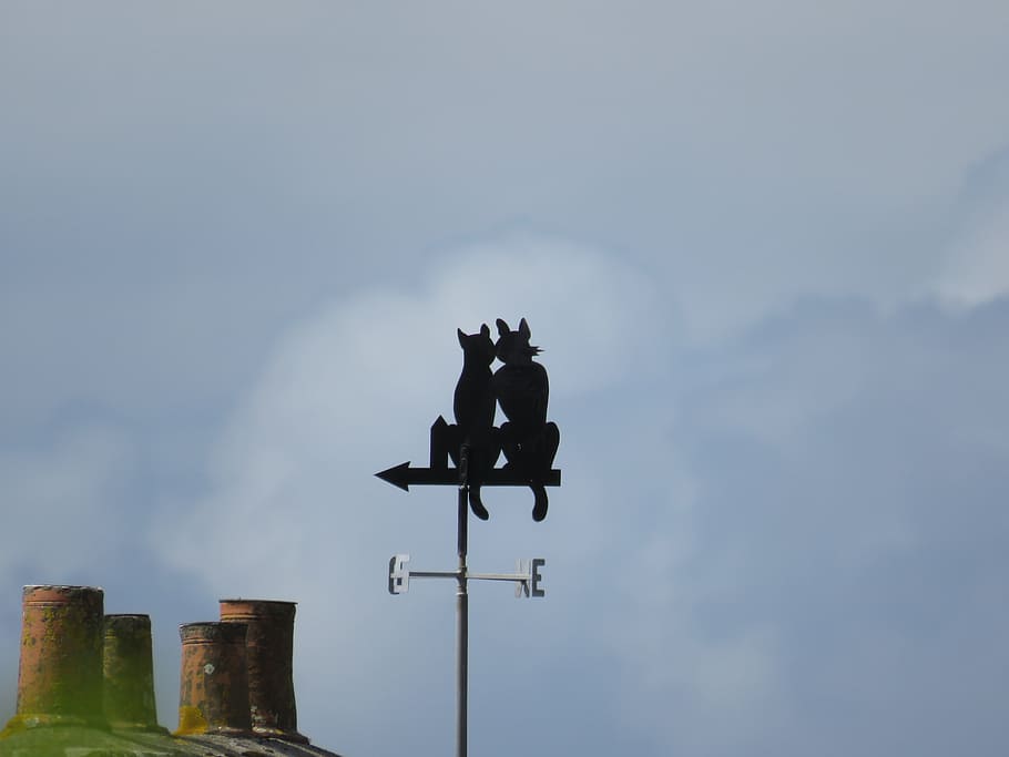 weather vane, cat, wind, sky, low angle view, no people, nature HD wallpaper