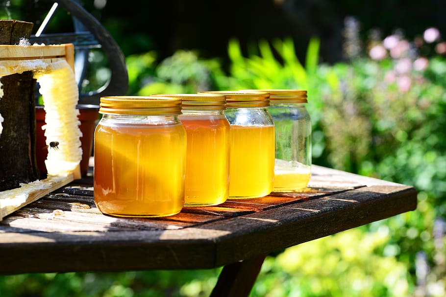 four clear glass mason jars on table, honey, harvest, bees, frame