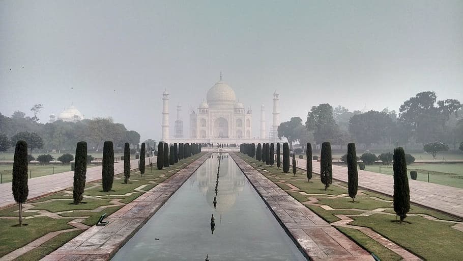 Taj Mahal, tajmahala, wonder, india, temple, love, tajmhal, architecture, HD wallpaper