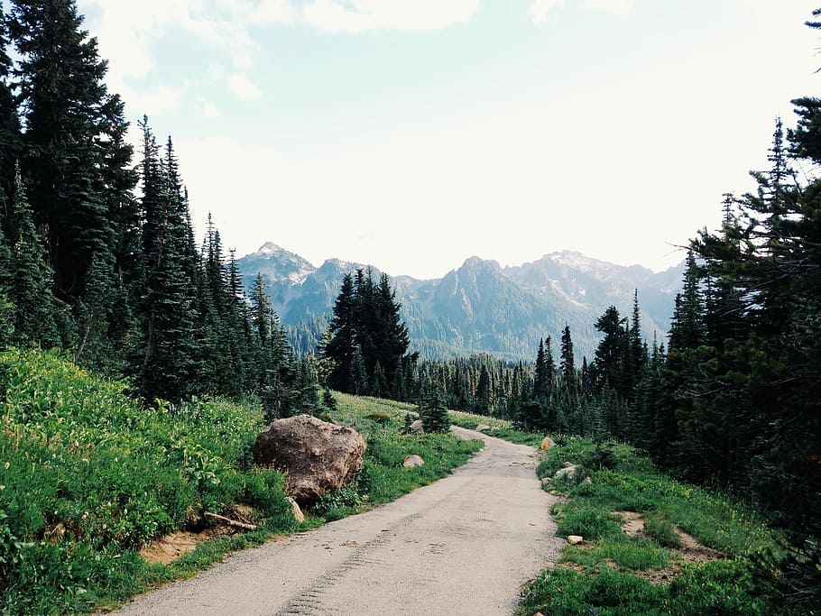 Landscape, Path, Trail, Grass, Trees, nature, mountains, hills HD wallpaper