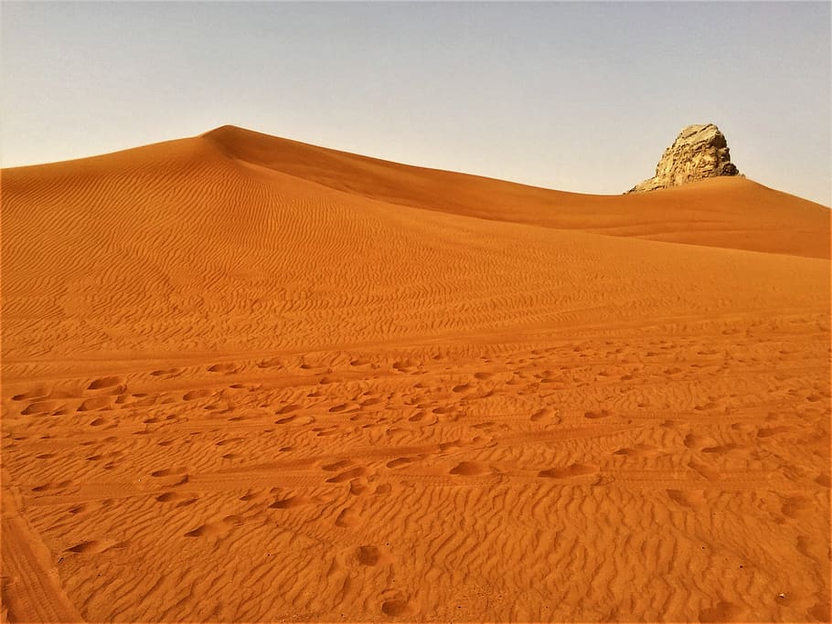 HD wallpaper: dubai, desert safari, camel, rock, fujairah, sand, aida,  cruise | Wallpaper Flare
