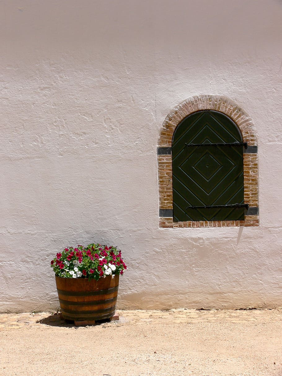 window, wall, whitewashed, flowers, barrel, exterior, house HD wallpaper