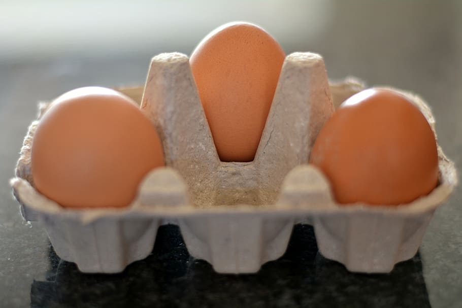three eggs, container, food, animal Egg, brown, farm, carton HD wallpaper