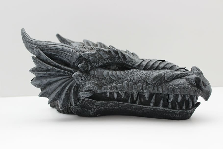 gray dragon head decor, reptile, creature, monster, fantasy HD wallpaper