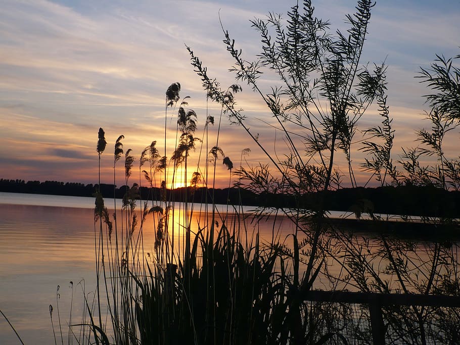 sunset, water, afterglow, sky, reflection, silhouette, tranquility HD wallpaper