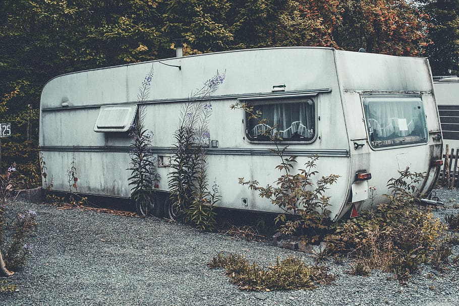 white RV trailer behind green leafed tree, white RV trailer covered with leaves HD wallpaper