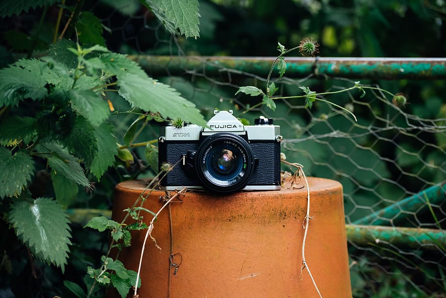 black and gray camera on flowerpot, black and gray camera on orange pot during daytime HD wallpaper