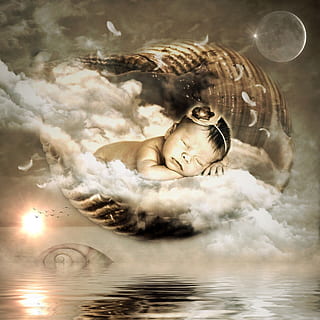 baby sleeping on cloud photo, shell, clouds, feather, sky, sun HD wallpaper